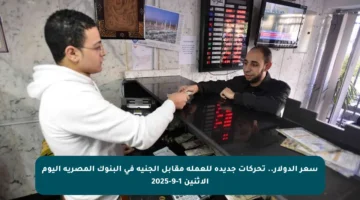 سعر الدولار.. تحركات جديدة للعملة مقابل الجنيه في البنوك المصرية اليوم الاثنين 1-9-2025